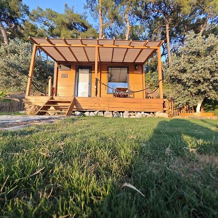 فندق Tiny Mini House دالامان المظهر الخارجي الصورة