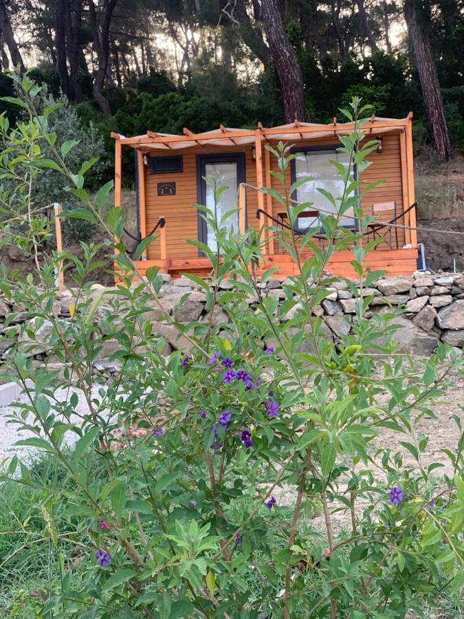 فندق Tiny Mini House دالامان المظهر الخارجي الصورة