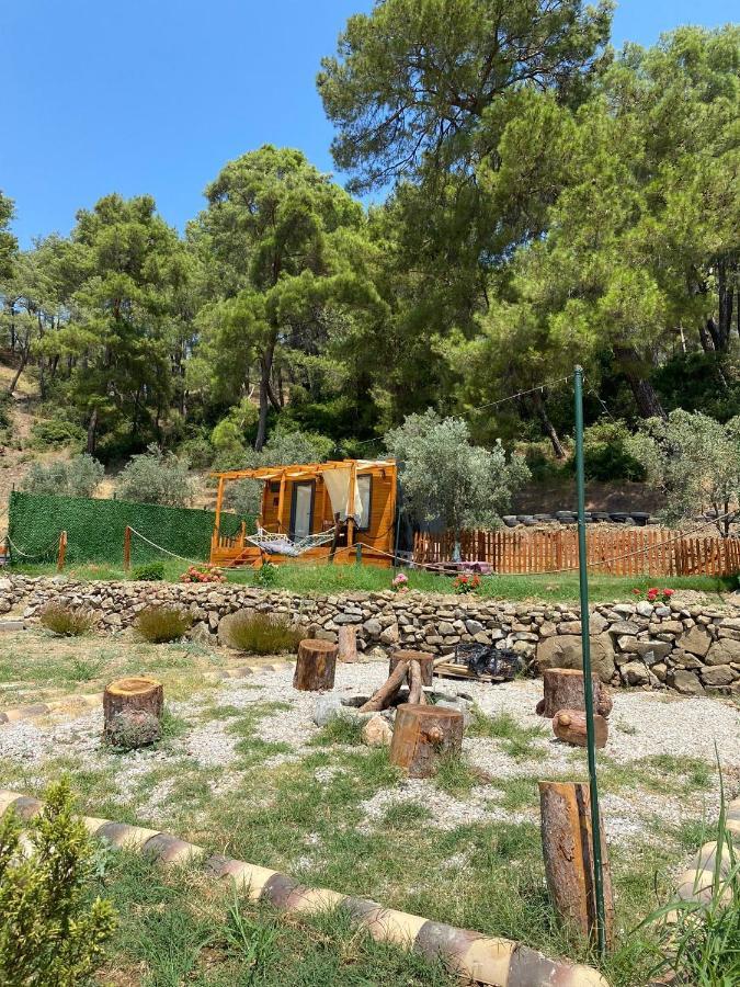 فندق Tiny Mini House دالامان المظهر الخارجي الصورة