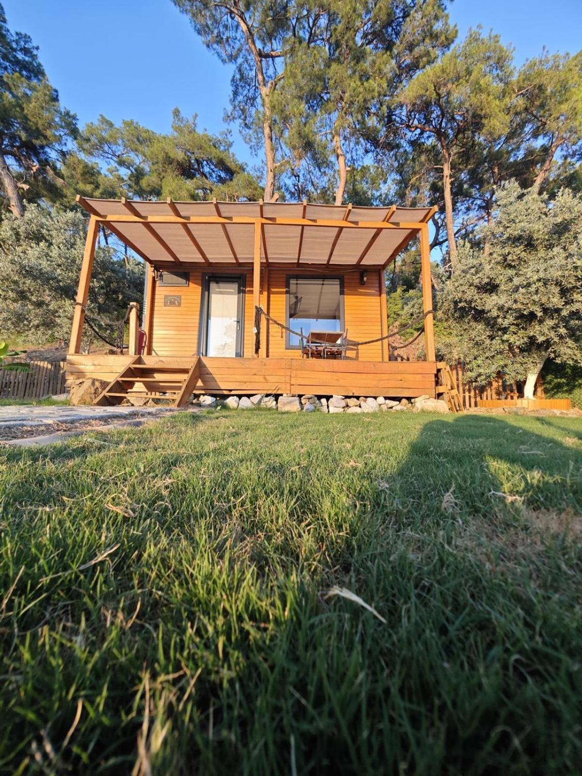 فندق Tiny Mini House دالامان المظهر الخارجي الصورة